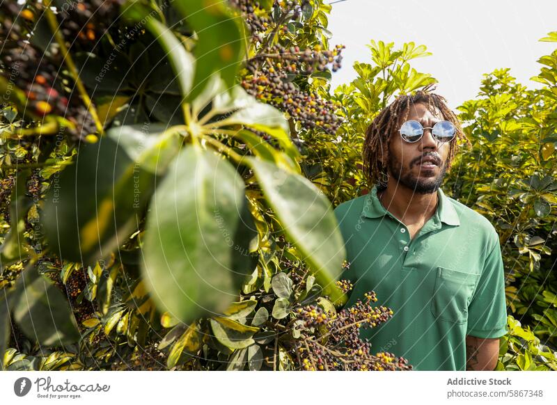 Afroamerikanischer Mann in der Natur beim Nachdenken im Sommer Afroamerikaner Sonnenbrille Rastalocken Grün Sommerzeit im Freien reflektierend beschaulich