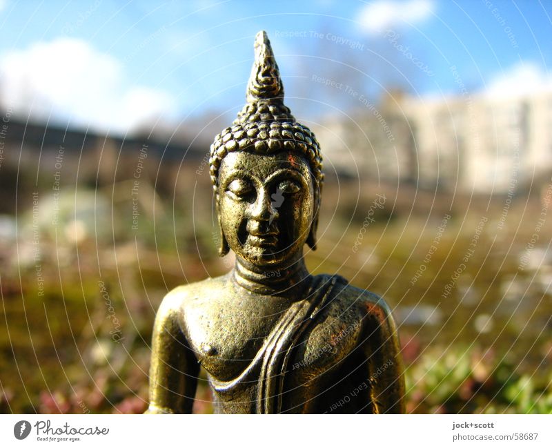 Buddha im Moos exotisch Glück harmonisch Meditation 1 Denken Weisheit Erholung Religion & Glaube Messing Philosophie wahrnehmen Buddha Statue Sonnenlicht