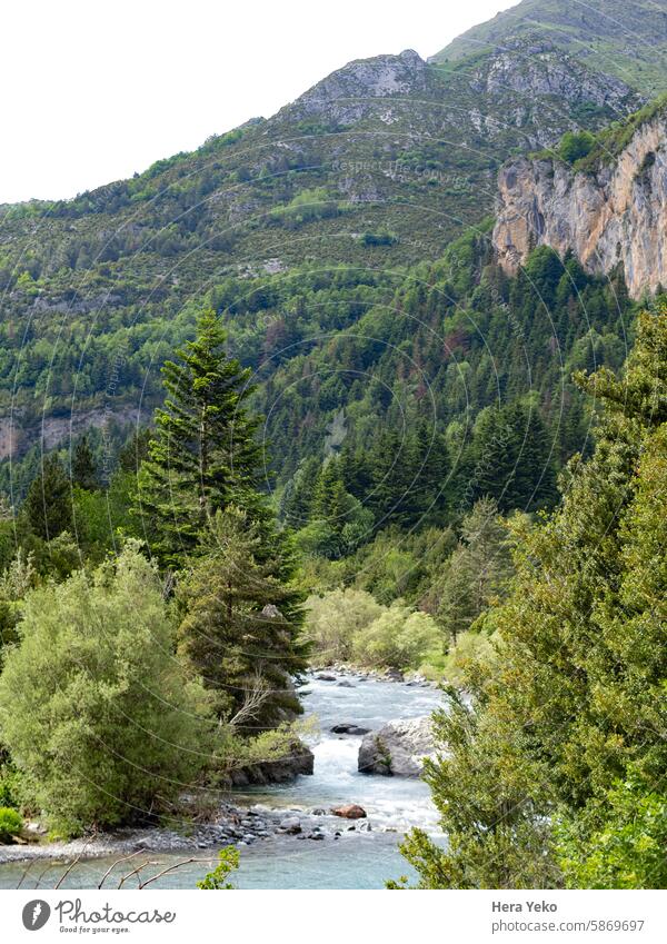 Landschaft der aragonesischen Pyrenäen. Spektakulärer Wald, Berge und Fluss. Aragonische Pyrenäen Spanien Reisen nach Spanien grün Berge u. Gebirge Flussufer