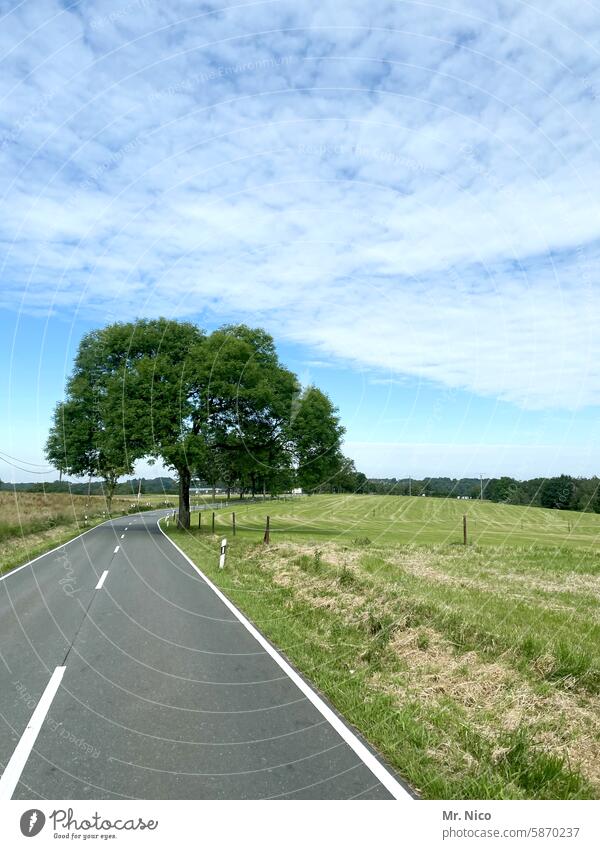 Landstraße Wege & Pfade leere Straße zweispurig roadtrip Asphalt Fahrbahn on the road Himmel Straßenrand Straßenverkehr Autofahren unterwegs Landschaft Verkehr