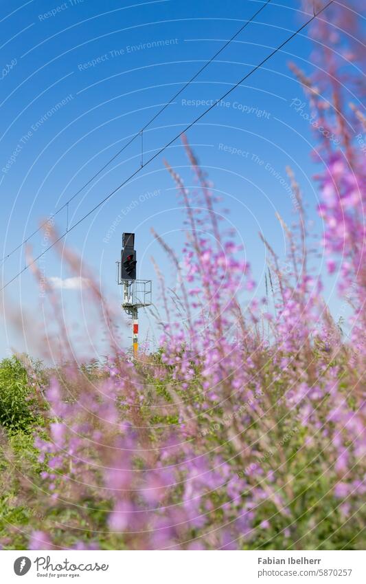 Als Ks-Signal bezeichnetes Lichtsignal an Bahnstrecke Hauptsignal Eisenbahnsignal Kombinationssignal Deutschland