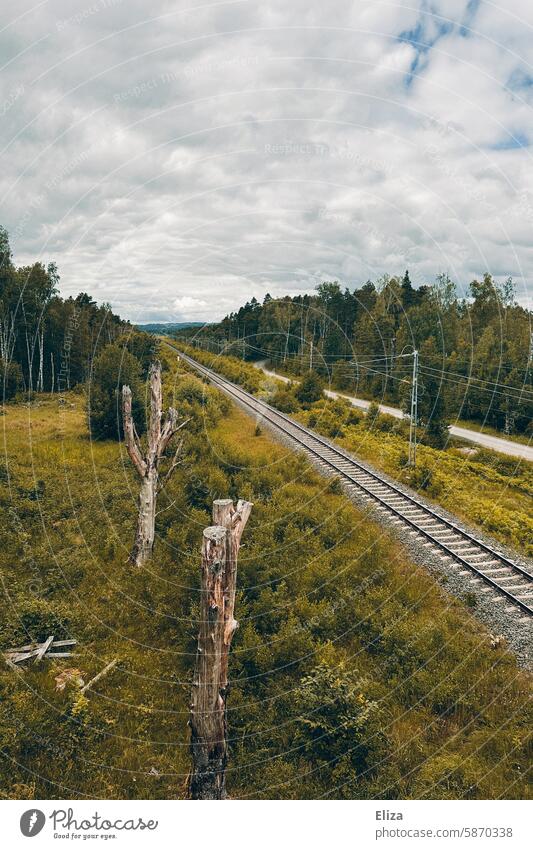 Bahngleise durch die grüne Natur Grün Bäume Wald grauer Himmel bewölkt Schienen Gleise Bahnverkehr Landschaft Schienennetz Verkehrswege Weite einsam