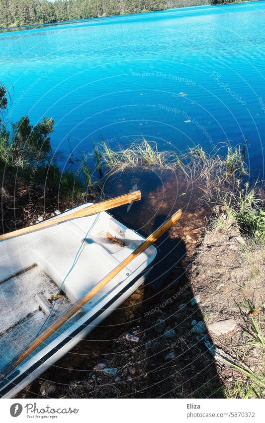 Kleines Ruderboot liegt an einem Seeufer Ufer Natur blauer Himmel Sonnenschein Landschaft Wasser Bäume Wald Paddel klein Menschenleer Wasseroberfläche einsam