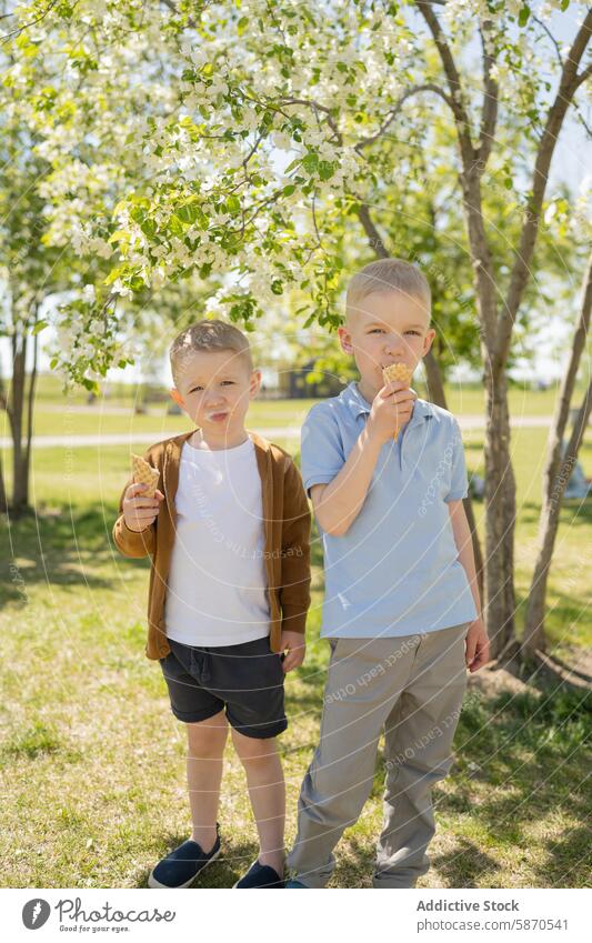 Zwei kleine Jungen essen Eis im sonnigen Park Speiseeis Baum Blüte Frühling lässig in die Kamera schauen grünes Gras weiße Blüte Zapfen Snack im Freien Kind