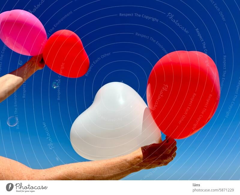 Liebeserklärung herzförmig Herz Symbole & Metaphern Partnerschaft Liebesbekundung Verliebtheit Glück Gefühle herzlich Zeichen Luftballon Seifenblasen Sympathie