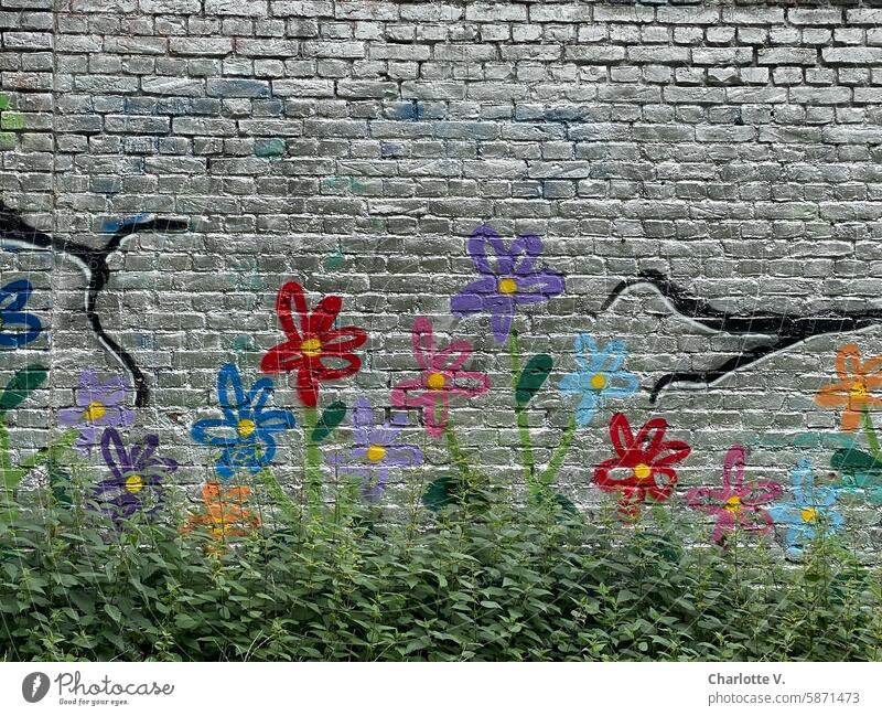 Blumenwiese I Gemalte Blumen auf einer silber besprühten Ziegelwand mit Unkraut davor Wand gemalte Blumen Graffiti Verschönerung Verzierung