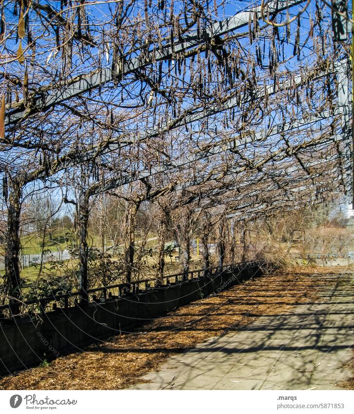 Unterführung Arkaden Bauwerk Architektur Symmetrie Fluchtpunkt Wege & Pfade alt Schatten verlassen bewachsen vertrocknet Klima Herbst Natur