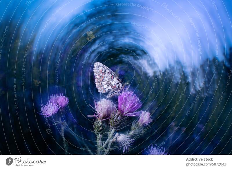 Schmetterling auf Distel mit künstlerisch wirbelndem Hintergrund Stachelige Kratzdistel blau Verwirbelung dynamisch Bildende Kunst ätherisch verträumt filigran