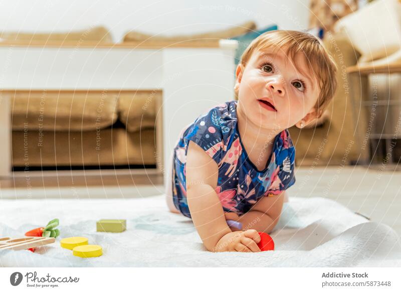 Kleinkind spielt mit Spielzeug auf einer weichen Decke zu Hause spielen heimwärts Kind Neugier im Innenbereich Familie Baby Stock Sitzen bequem Muster Outfit