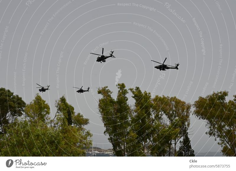 Hubschrauber und Bäume Himmel Flug Rotoren Fluglärm Militär Einsatz Parade Natur Technik Luftverkehr fliegen Fluggerät Technik & Technologie Flugzeug Dröhnen