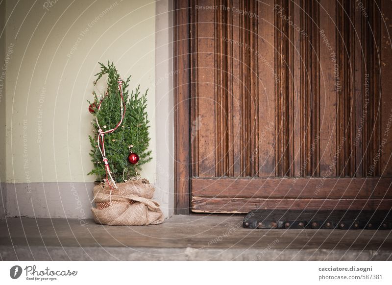 Merry Christmas Weihnachten & Advent Baum Tür Hauseingang Weihnachtsbaum Fußmatte einfach Freundlichkeit klein braun grün Vorfreude Geborgenheit Vorsicht ruhig