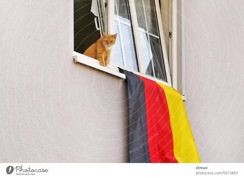 Eine Deutschlandfahne hängt aus einem offenen Fenster mit Katze Fußball Fußballfan schwarz-rot-gold EM WM Europameisterschaft Weltmeisterschaft Flagge Blog