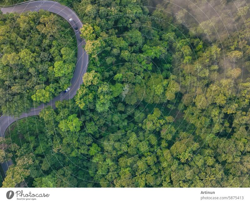 Luftaufnahme von grünen Wald und Autobahn mit Auto und LKW-Transport. Grüne Bäume und Morgennebel Hintergrund für Kohlenstoffneutralität und Netto-Null-Emissionen-Konzept. Nachhaltige grüne Umwelt.