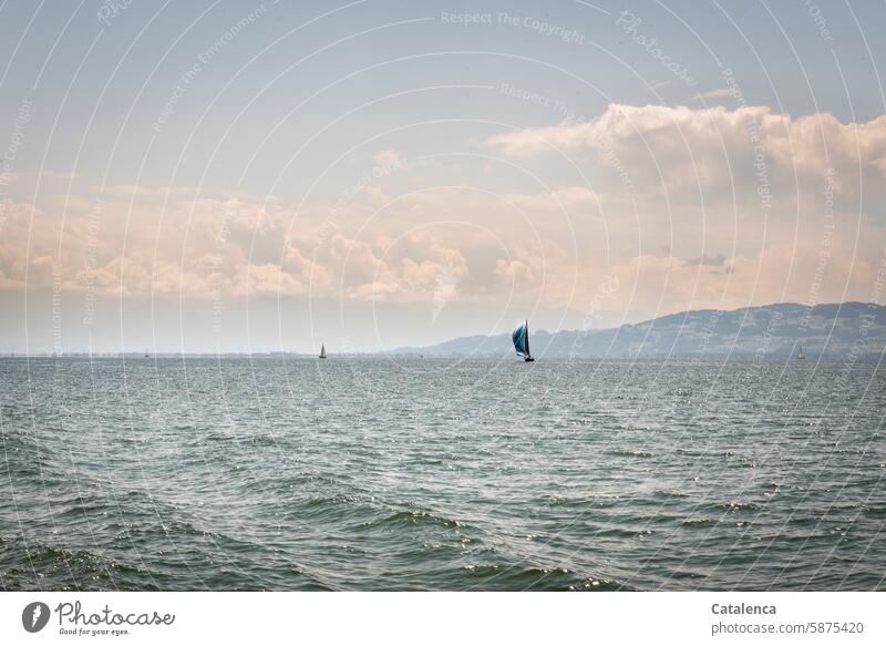 Segelboot am Horizont segeln Wasser See Berge Himmel Wolken Wetter Ferien & Urlaub & Reisen Sommer Wind Schifffahrt Jacht Freiheit Wassersport Wasserfahrzeug