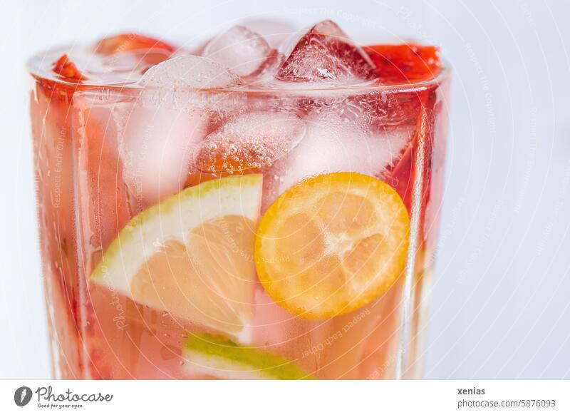 Erfrischendes kühles Wasser mit Geschmack: Zitrone, Kumquat, Erdbeeren und Eiswürfel für einen heißen Sommertag Getränk Efrischungsgetr Erfrischungsgetränk