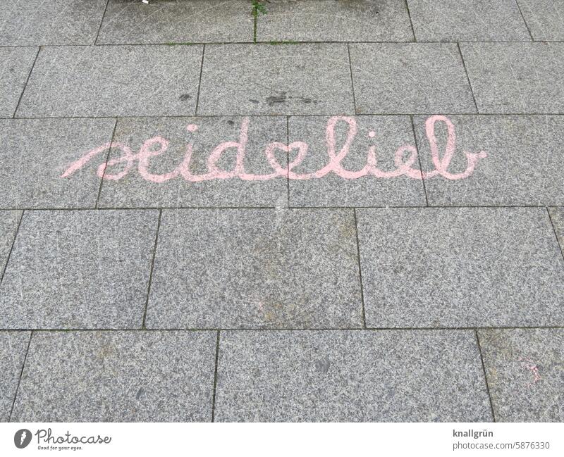 Seid❤️lieb Graffiti Liebe Text Herz Mitteilung Gefühle Verliebtheit Romantik Schriftzeichen Farbfoto Typographie Gehweg Straße Schreibschrift rosa grau
