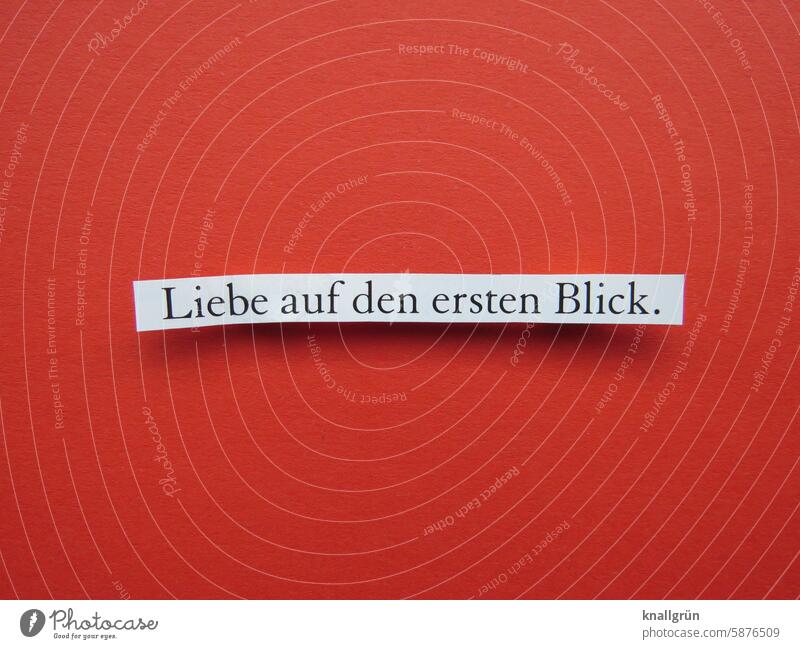 Liebe auf den ersten Blick. Text Gefühle Verliebtheit Romantik Treffen Partnerschaft Zusammensein Sympathie Endorphine Leidenschaft Glück Glücksgefühl Paar