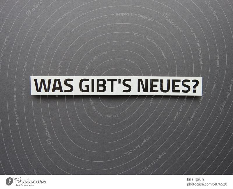 Was gibt‘s Neues? Fragen Text Neugier Erwartung Fragezeichen Interesse erkunden Wissen Menschenleer Hintergrund neutral Farbfoto Satz Wort Freisteller