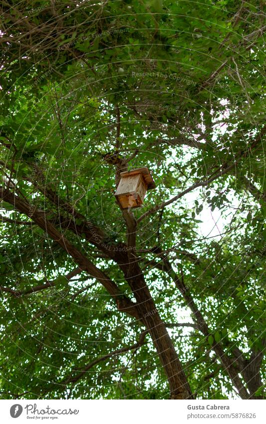 Kleines Vogelhäuschen aus Holz, das an einem Baum hängt. Vogelhaus Vogelhäuser Vogelhaus aus Holz Außenaufnahme Bäume Wildvogel Farbfoto Natur Wildtier