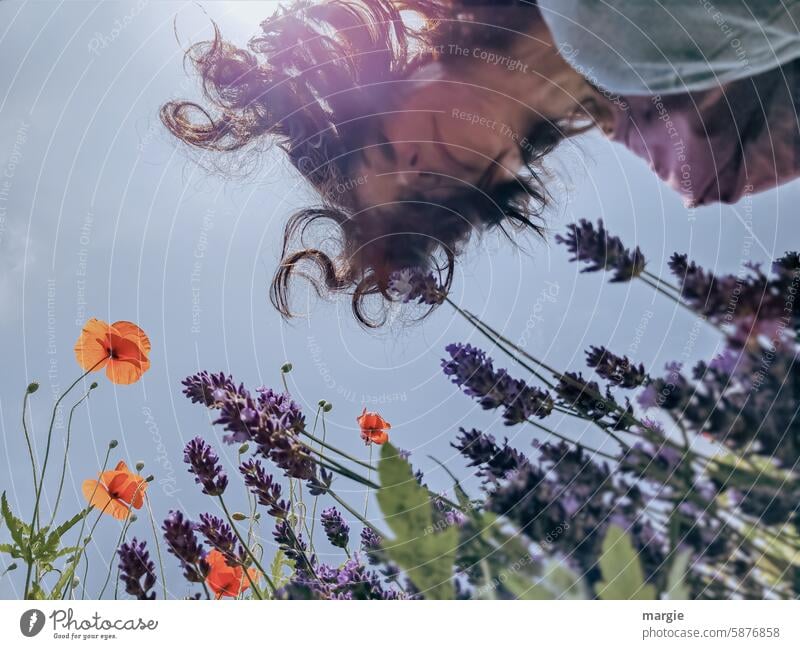 Aus der Froschperspektive gesehen: Lavendel, Mohn und neugierige Frau Gesicht Mohnblüte Sommer Natur Blume roter mohn Außenaufnahme dunkelhaarig langhaarig