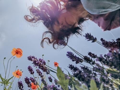 Aus der Froschperspektive gesehen: Lavendel, Mohn und neugierige Frau Gesicht Mohnblüte Sommer Natur Blume roter mohn Außenaufnahme dunkelhaarig langhaarig