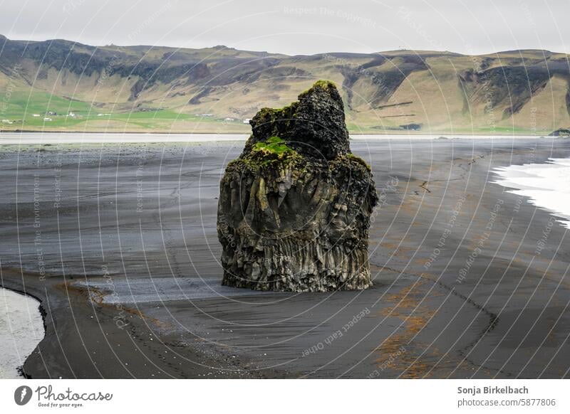 Alleinstellungsmerkmal - Basaltsäule am Reynisfjara Beach Island isländisch Black Sand Beach schwarz Strand Südisland Meer Landschaft Natur Küste Wasser Felsen