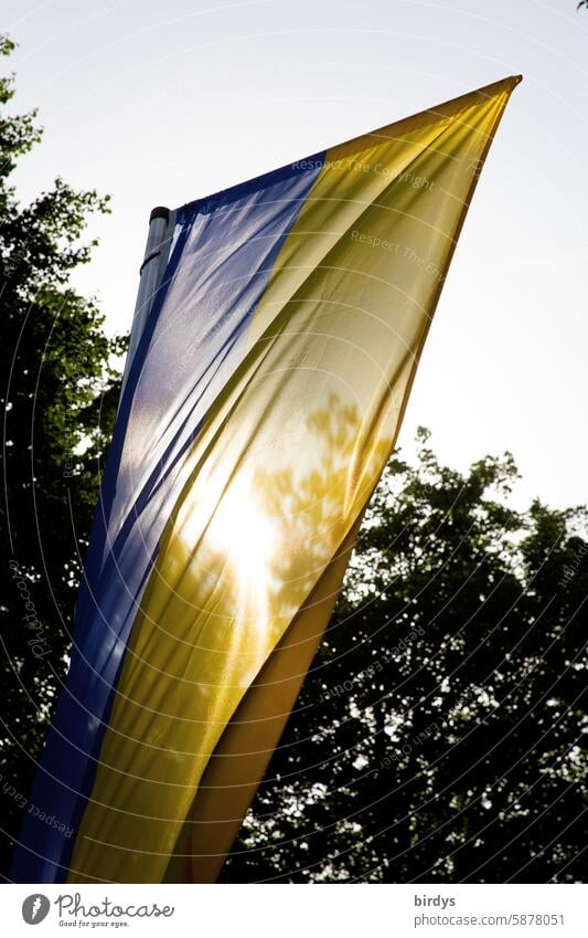 Ukrainische Flagge im Gegenlicht Ukraine ukrainische Flagge Fahne Solidarität Freiheit Krieg Frieden Ukraine-Krieg Politik & Staat Ukrainekrieg Hoffnung