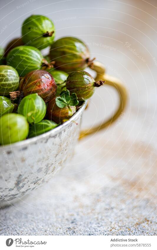 Nahaufnahme von reifen Bio-Stachelbeeren in einer rustikalen Tasse organisch Frucht frisch Metallbecher pulsierend grün rot natürlich Weichzeichner Hintergrund