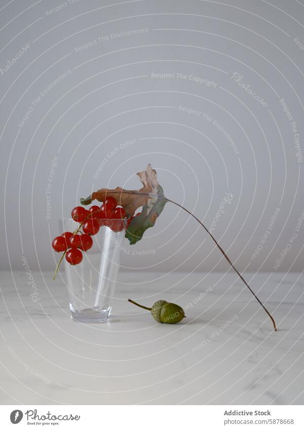 Minimalistische Komposition mit roten Johannisbeeren in einem Glas rote Johannisbeere Murmel Hintergrund Minimalismus Einfachheit Eleganz Frucht Blatt Eicheln