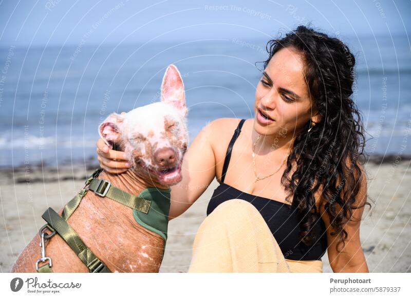 Junge Frau streichelt lächelnd haarlosen Hund am Strand Haustier Lächeln Glück Sommer Sand Meer Freundschaft Liebe Gesellschaft Tier Besitzer im Freien sonnig