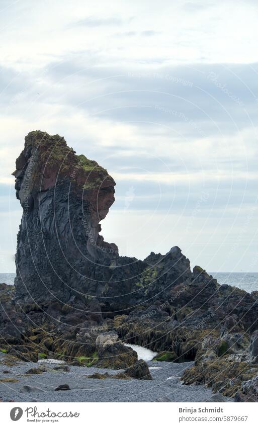 Isländische Küste mit vulkanischem Gestein auf an der Snaefellsnes Halbinsel, Dritvik seaside scenery peninsula snaefellsnes tourism adventure lagoon nordic