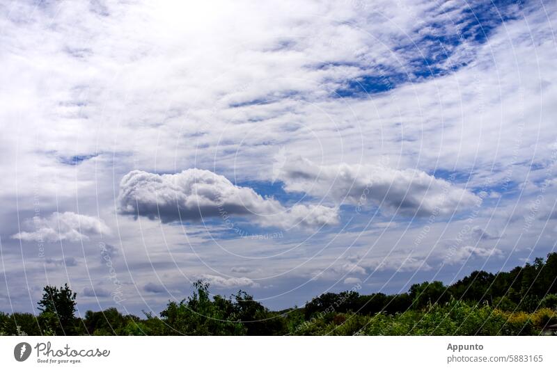 Wolke 7 oder Wolkenkuckucksheim ? schweben Himmel Wolkenformation weiß blau grau Bäume Sträucher grün Vegetation auf Wolke 7 schweben in den Wolken schweben