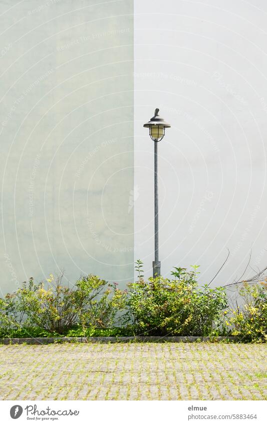 Straßenlaterne vor einer zweifarbigen Hauswand am Rand einer Parkfläche Laterne Straßenbeleuchtung Buschwerk Beleuchtung Laternenpfahl Elektrizität Technik