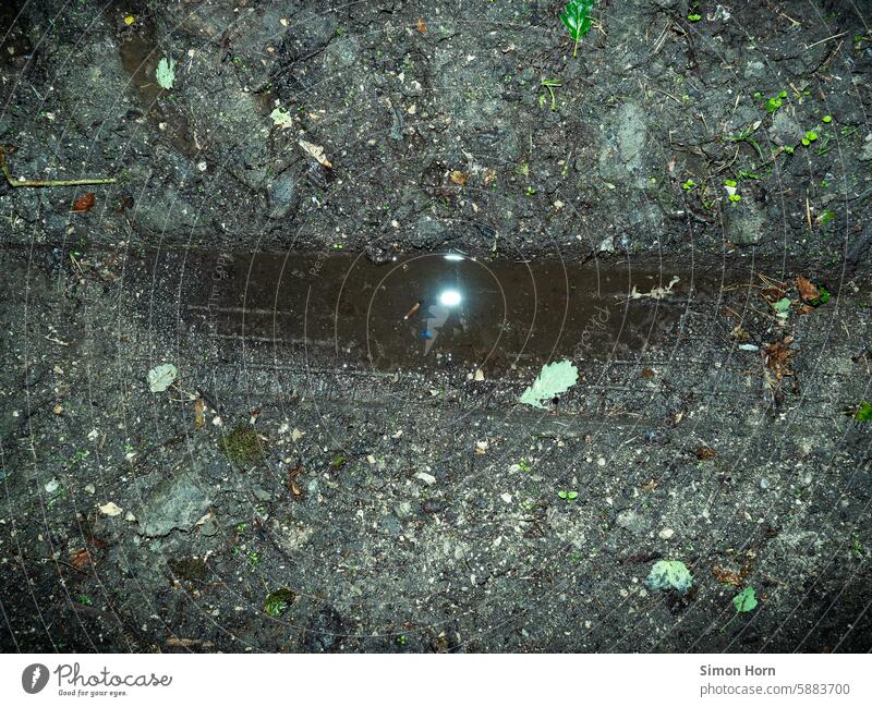 Lichtfleck in einer Pfütze, die in einer Spurrinne im Waldboden entstanden ist Reflexion Spiegelung Lichtreflexe Erde nass durchnässt Abdruck Wasser Steine