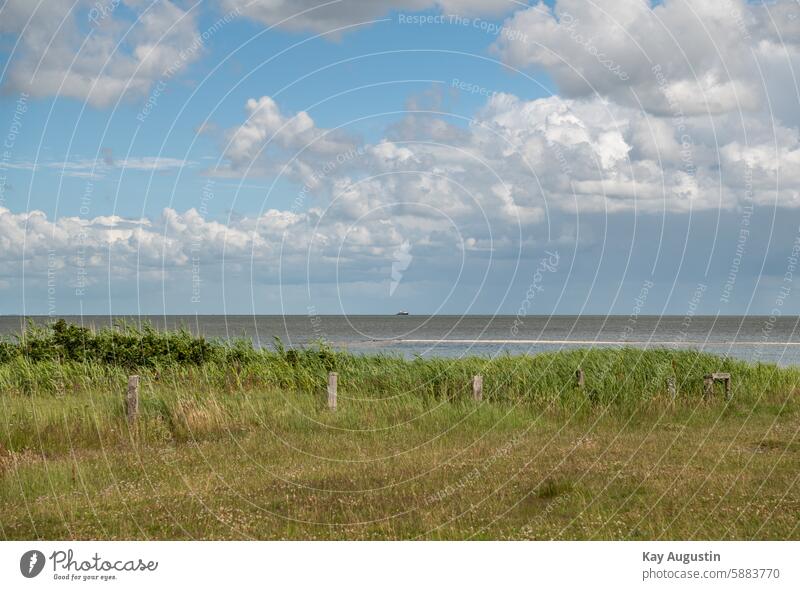 Wattenmeer Nordsee Farbfoto Nordseeinsel Nordseeküste Natur Meer Küste Außenaufnahme Landschaft Naturschutzgebiet Vogelschutzgebiet Nationalpark Wattenmeer