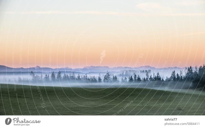 Morgenstimmung in Oberschwaben mit Sicht auf die Berge, Nebelfelder liegen noch in den Tälern Landschaft Voralpenland Bäume Tannen Himmel Menschenleer ruhig