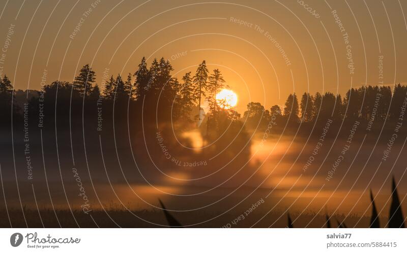 Sonnenaufgang, Nebelfelder im Tal werden von den Sonnenstrahlen durchflutet Landschaft Morgenstimmung Lichteinfall Morgennebel ruhig Stimmung Idylle
