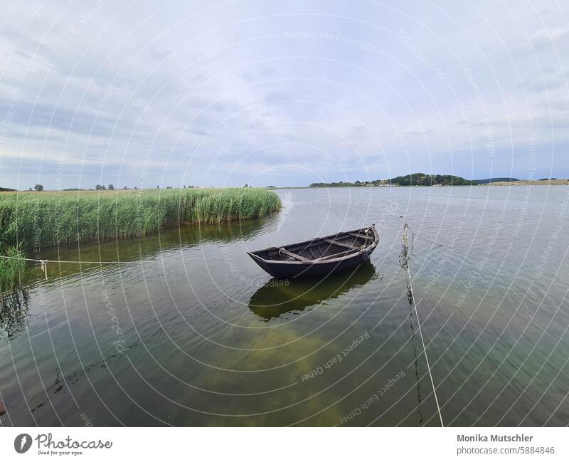 Boot auf der Ostsee schön malerisch märchenhaft Märchenlandschaft geheimnisvolle Landschaft Stimmung verträumt Naturerlebnis Tag Panorama (Aussicht) Boot fahren