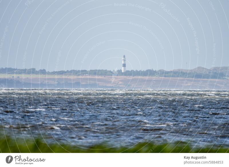 Leuchtturm Langer Christian Wahrzeichen Sehenswürdigkeiten Landschaft Bokeh Nordseeinsel Insel Sylt Turm Seezeichen Schifffahrt Bildnis Fotografie