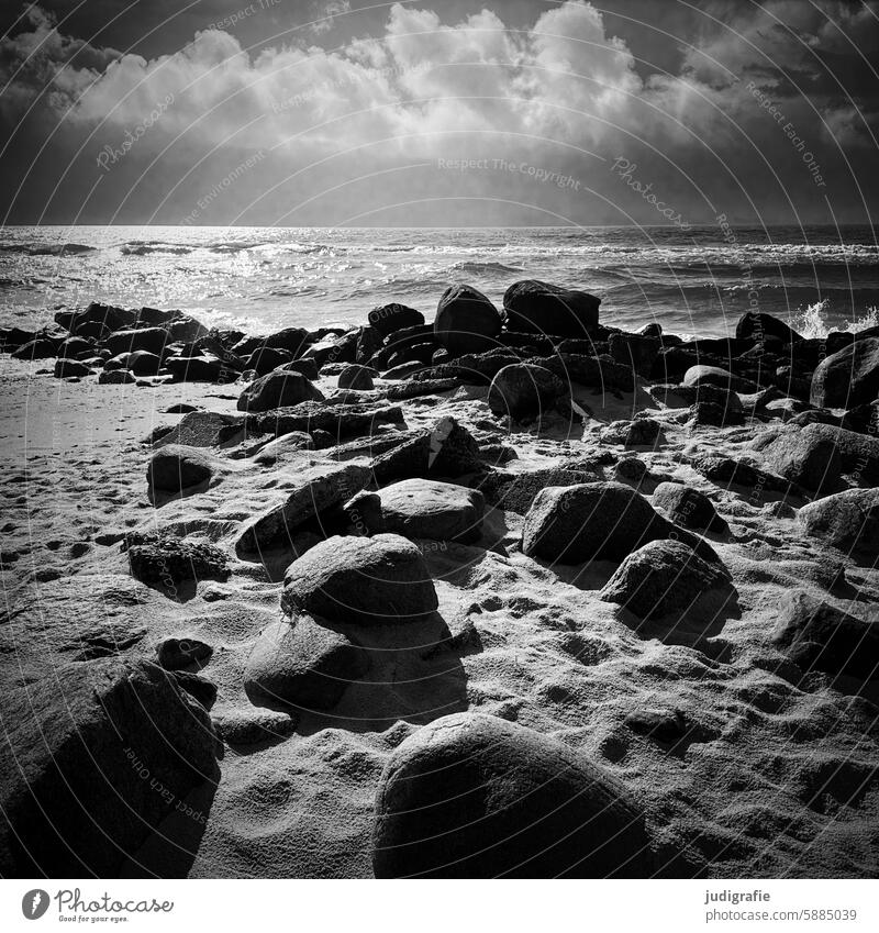 Küste Ostsee Meer Ostseeküste Strand Himmel Wasser Landschaft Ferien & Urlaub & Reisen Natur Sand Wolken Horizont Steine Licht Ostseestrand Dänemark Wellen