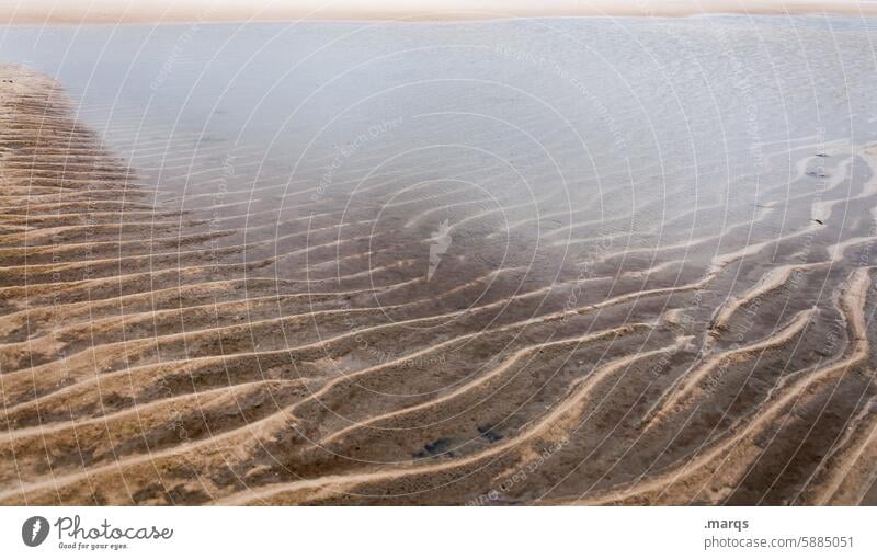 Priel Strukturen & Formen Nordsee Küste Wattenmeer Natur Wasser Meer Strand Ebbe Sand Nordseeküste Gezeiten Nahaufnahme