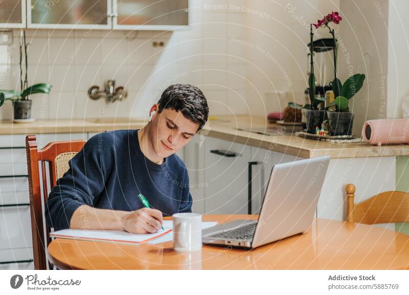 Junger Mann studiert am Laptop am Küchentisch jung studierend Tisch heimwärts Umwelt produktiv Gelassenheit lernen Sitzung Arbeit Hinweis unter sitzen Fokus