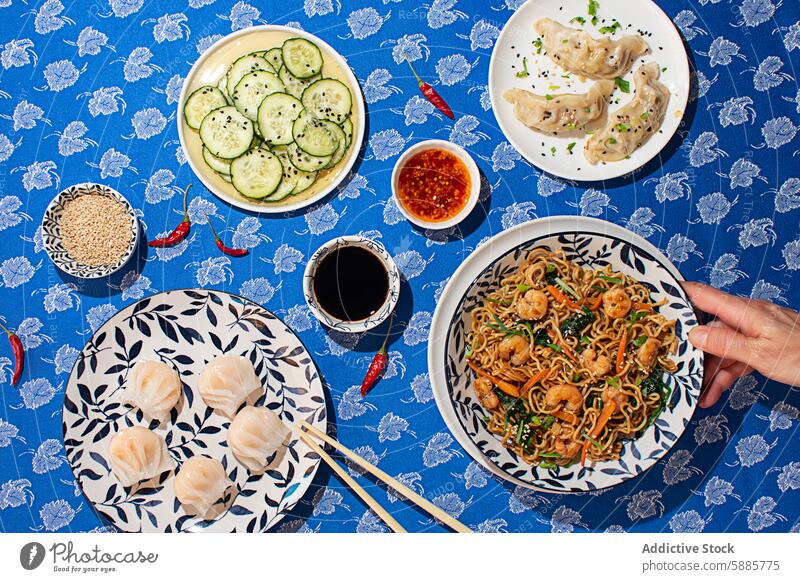 Chinesische Teigtaschen, Nudeln und Gurkensalat von oben gesehen chinesisches Essen Person Draufsicht Knödel Salatgurke Salatbeilage Sesam Granele Geschirr