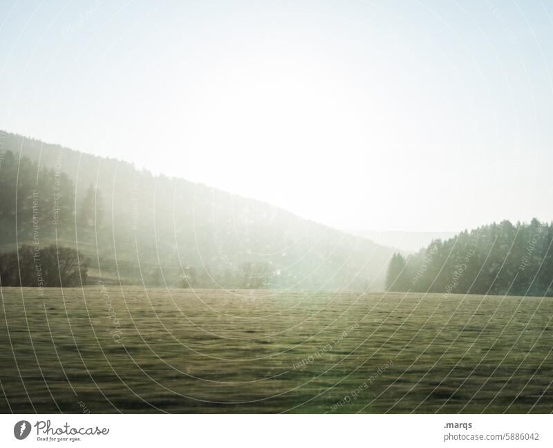 Frühlingsausfahrt Bewegungsunschärfe Landschaft Natur Himmel Schönes Wetter Wiese Baum Wald Umwelt Sonnenlicht grün ruhig unterwegs fahren