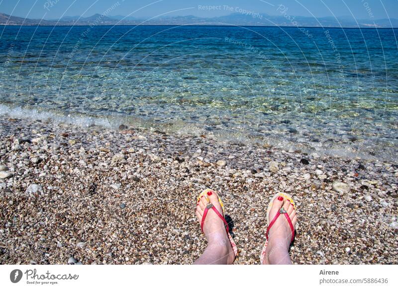 sitzen und genießen Schönes Wetter Sonnenlicht Strandurlaub Vergnügen Erholung Ferien & Urlaub & Reisen erholsam Sommer Sonnenbad Freizeit sonnen Wasser