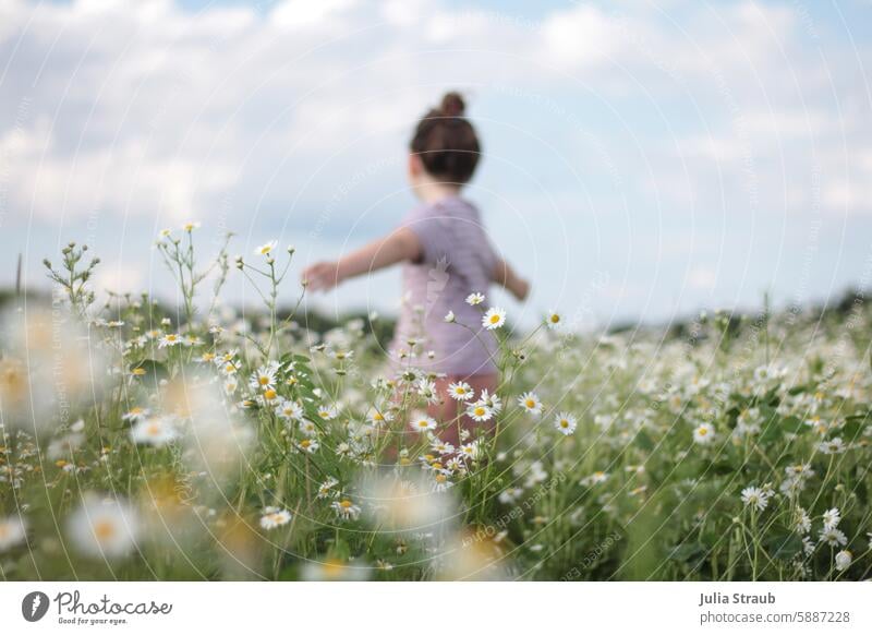 Mädchen im Kamillenfeld 5 wunderschön Wolken Kindheit Kamillenblüten Natur grün fühlen Wiese Blumen Sommer Naturerlebnis draußen Himmel wunderschöne Landschaft