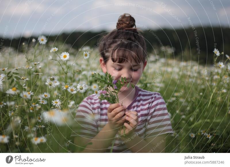 *900*  Wiesenblumen zur gratulation für dich riechen fröhliches Kind Alles Gute spazieren grinsen versteckt fühlen Blumenwiese gestreift Naturerlebnis pflücken