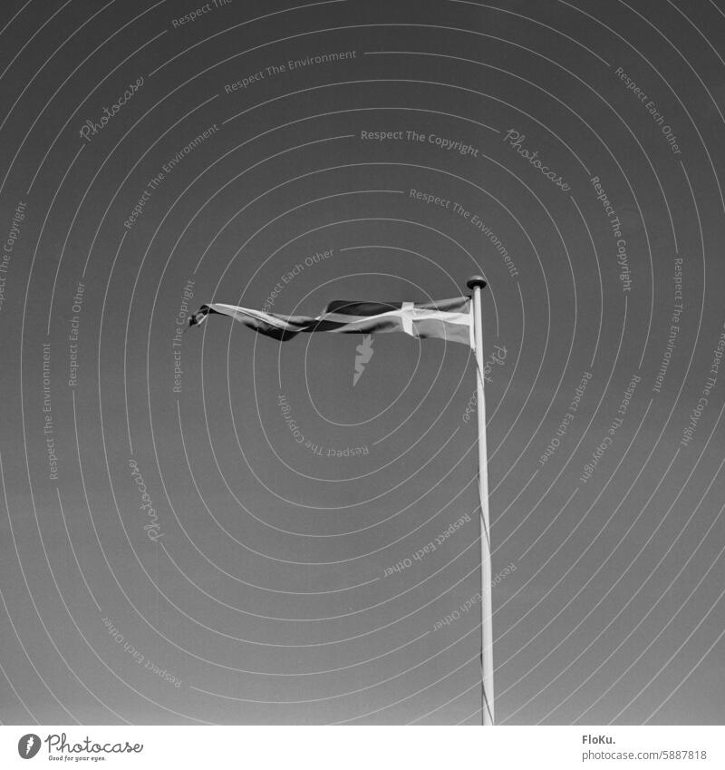 Dannebrog in schwarzweiß im Wind Flagge Schwarzweißfoto analog analoge fotografie Analoges Foto Analogfoto Analogfotografie Urlaub Reisen Dänemark