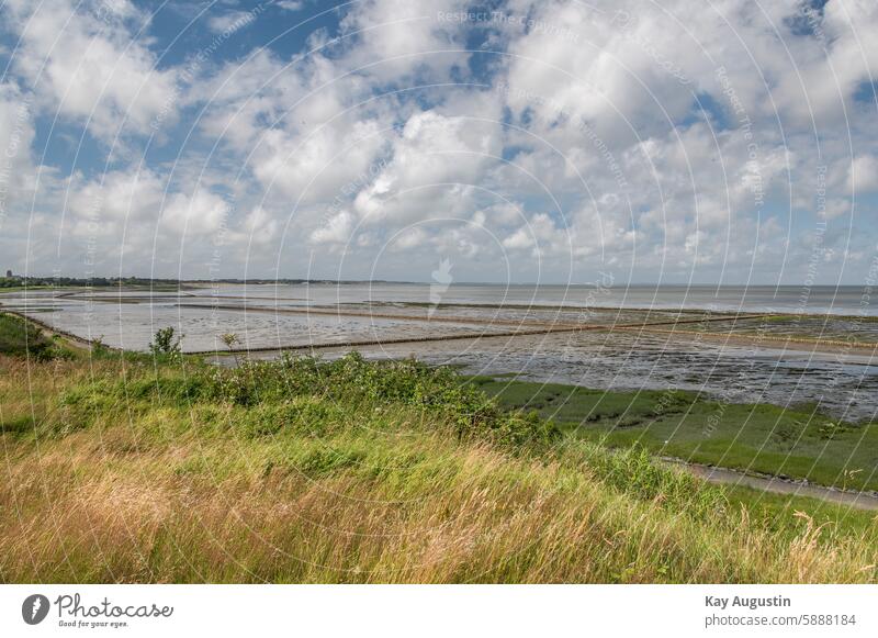 Wattenmeer Lahnungen Küste Nordseeküste Nationalpark Gezeiten Naturschutzgebiet Nationalpark Wattenmeer Insel Nordseeinsel Meer Landschaft Ebbe und Flut Sylt