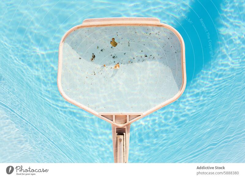 Nahaufnahme eines Pool-Skimmers, der Blätter aus dem Wasser entfernt Abschäumer Reinigen blau Schwimmbad Trümmer Flugzeugwartung im Freien Sommer übersichtlich